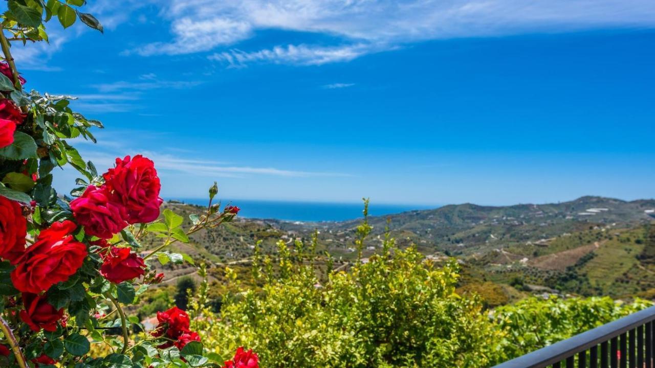 Cortijo Los Naranjos Frigiliana By Ruralidays Exterior photo